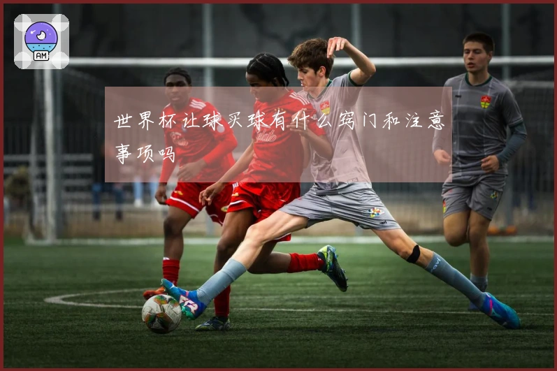 世界杯让球买球有什么窍门和注意事项吗
