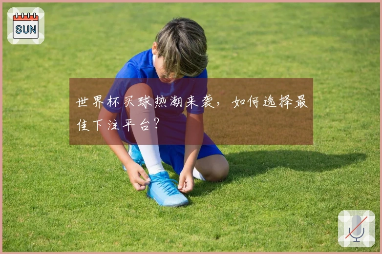 世界杯买球热潮来袭，如何选择最佳下注平台？
