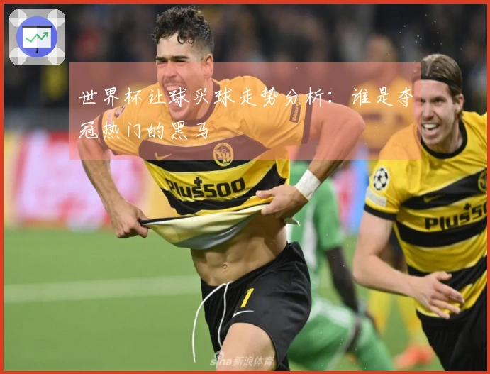 世界杯让球买球走势分析：谁是夺冠热门的黑马