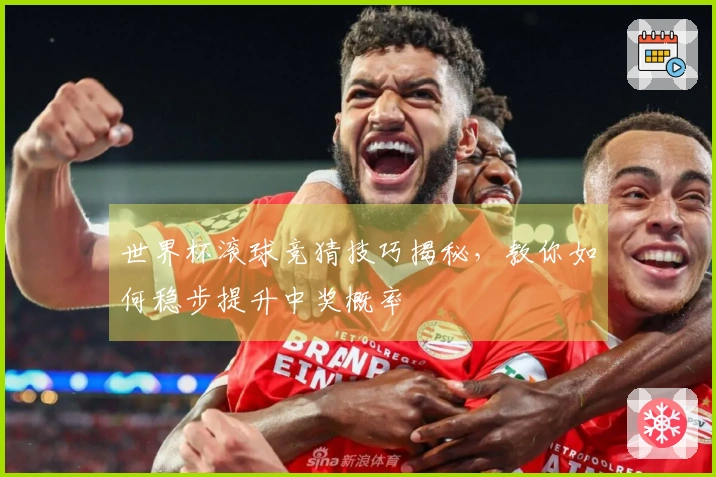 世界杯滚球竞猜技巧揭秘，教你如何稳步提升中奖概率