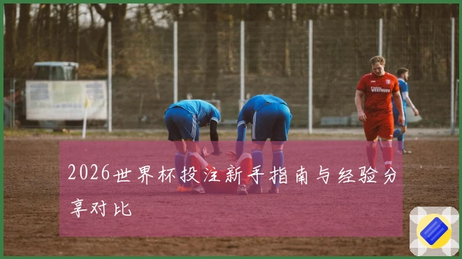 2026世界杯投注新手指南与经验分享对比