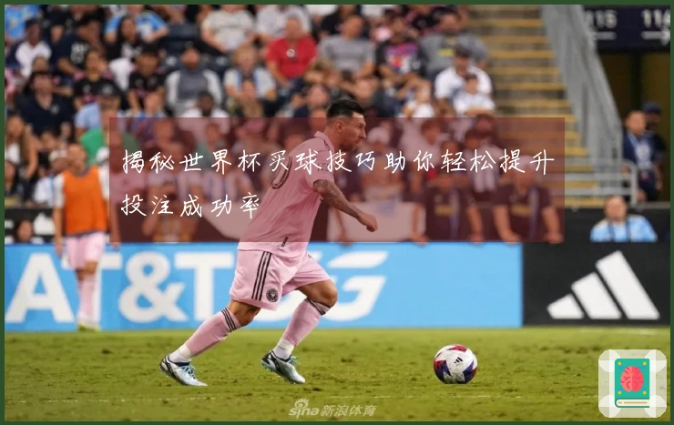 揭秘世界杯买球技巧助你轻松提升投注成功率