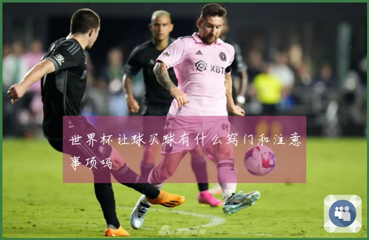 世界杯让球买球有什么窍门和注意事项吗