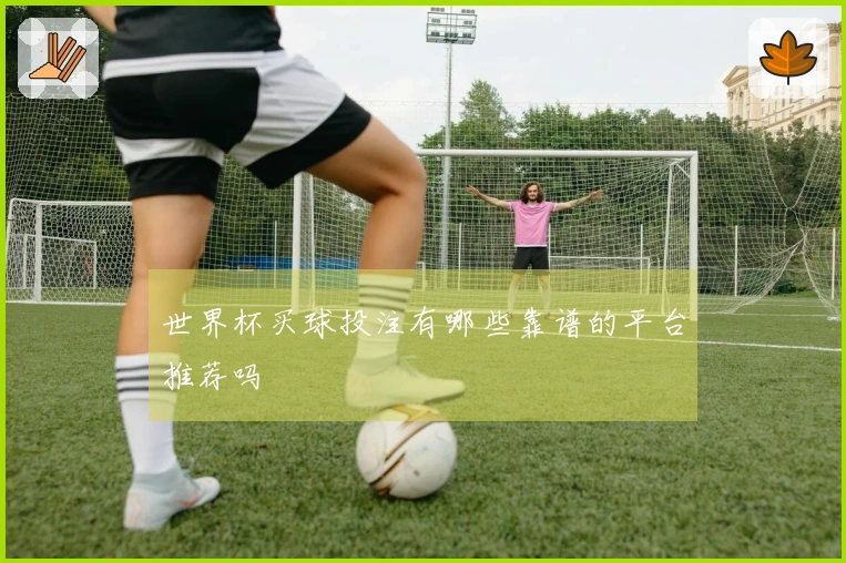 世界杯买球投注有哪些靠谱的平台推荐吗