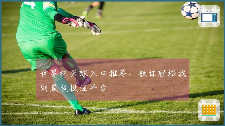 世界杯买球入口推荐，教你轻松找到最佳投注平台