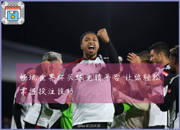 畅玩世界杯买球竞猜平台 让你轻松掌握投注技巧